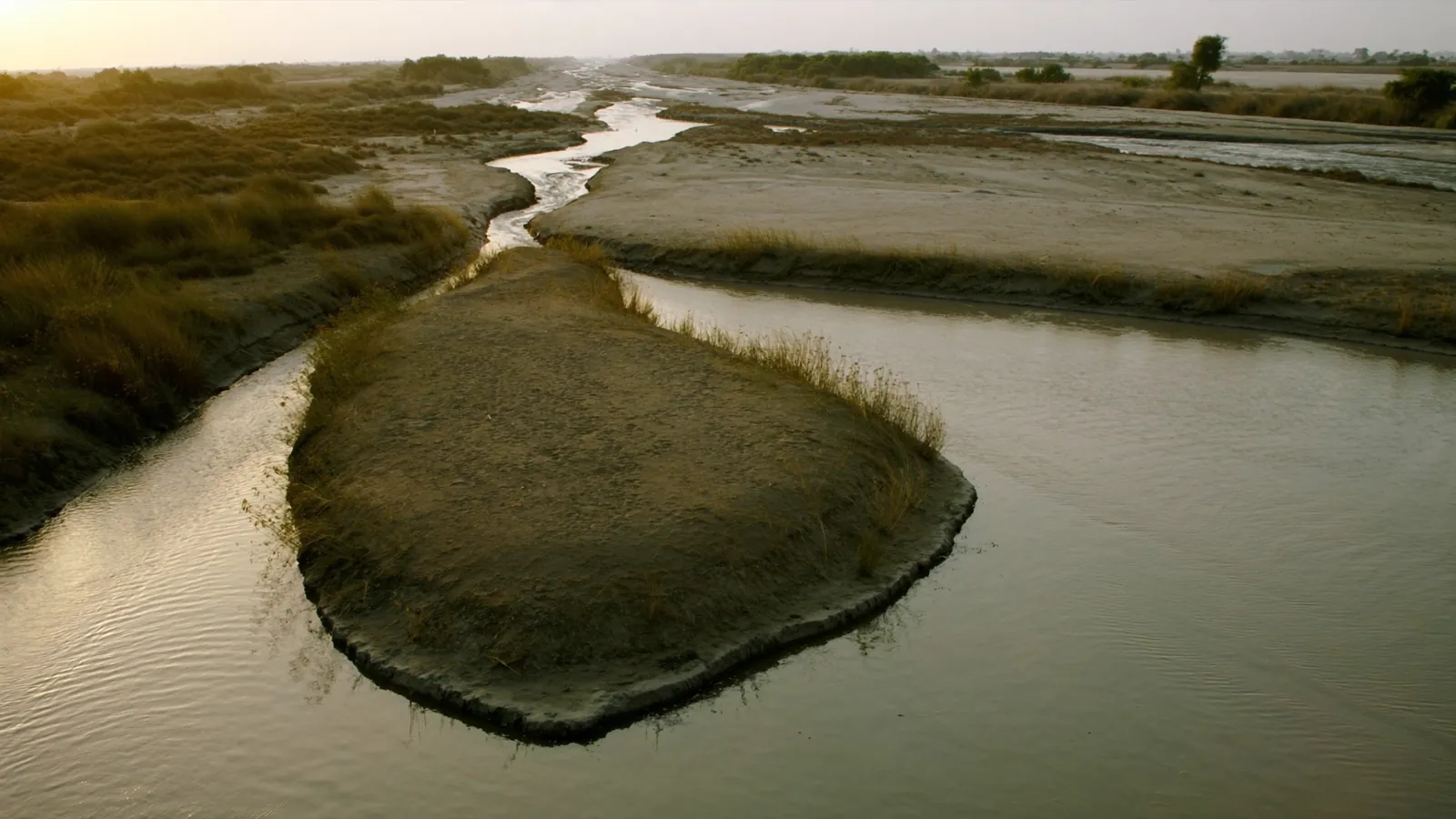 The Indus floodplain in Sindh at first light