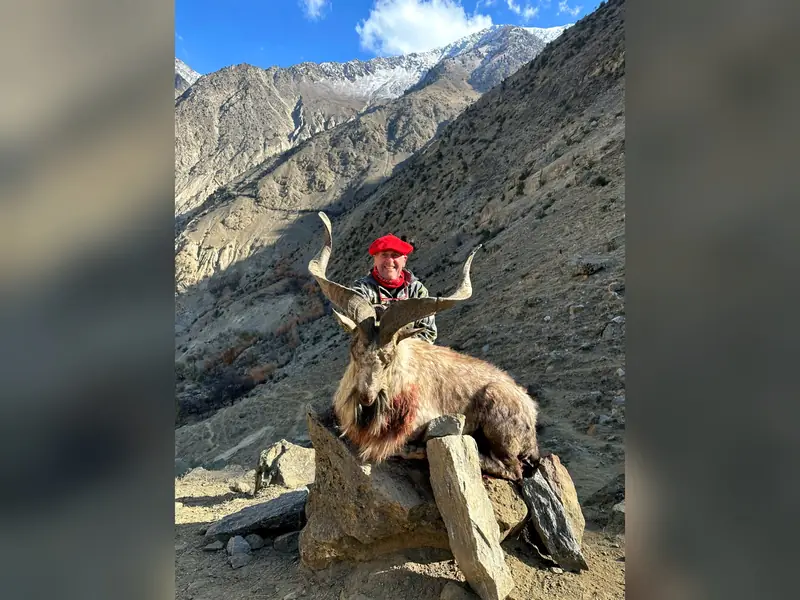 Astor Markhor, Gilgit-Baltistan