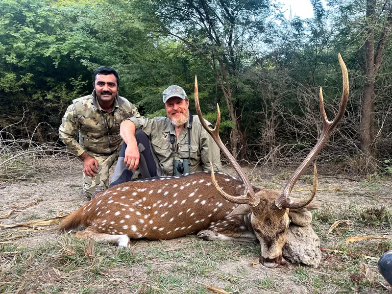 Axis Deer, Sindh and Punjab