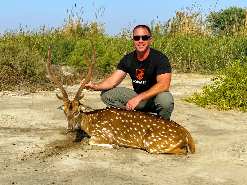 Axis Deer, Sindh and Punjab