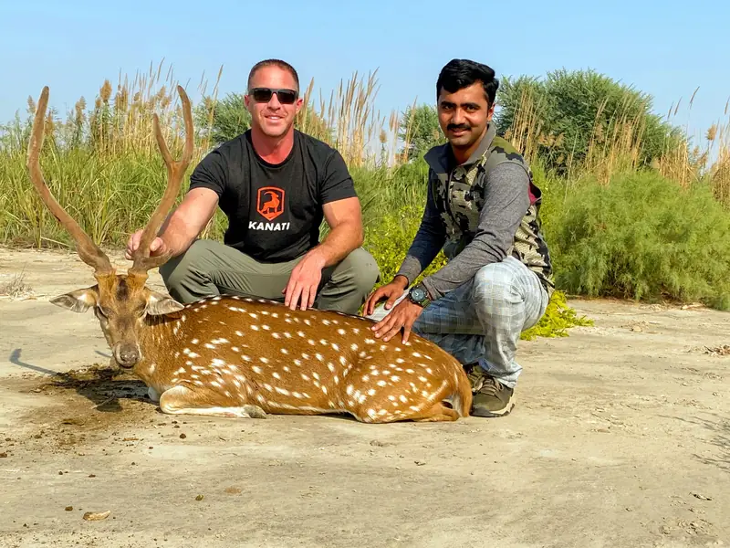 Axis Deer, Sindh and Punjab