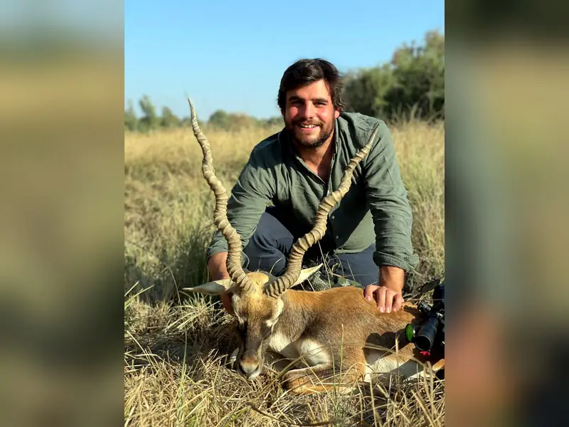 Blackbuck, Sindh and Punjab