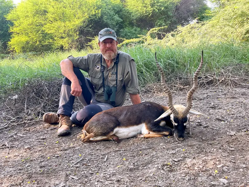 Blackbuck, Sindh and Punjab