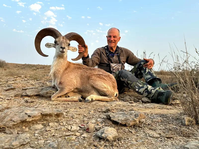 Blandford Urial, Sindh