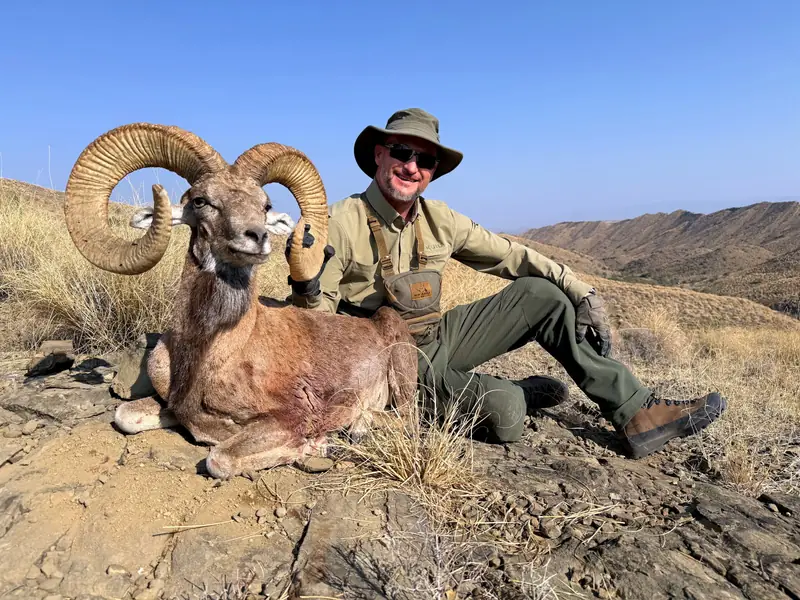 Blandford Urial, Sindh