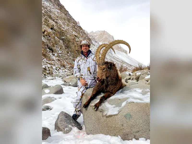 Himalayan Ibex, Gilgit, Skardu, Hunza