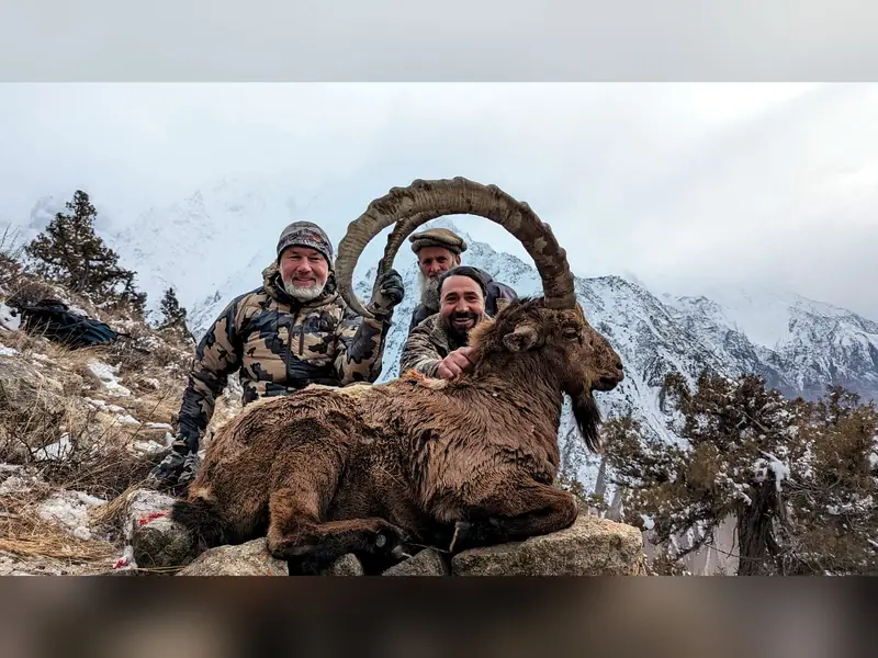 Himalayan Ibex, Gilgit, Skardu, Hunza