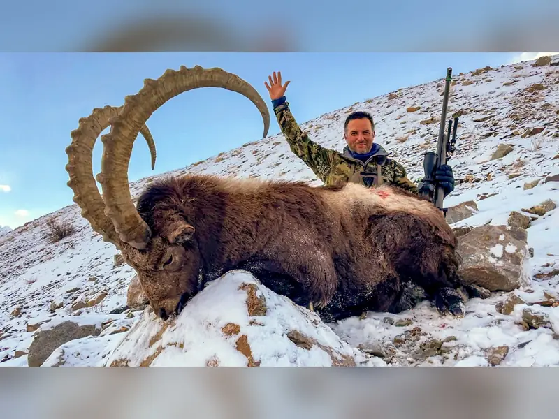 Himalayan Ibex, Gilgit, Skardu, Hunza