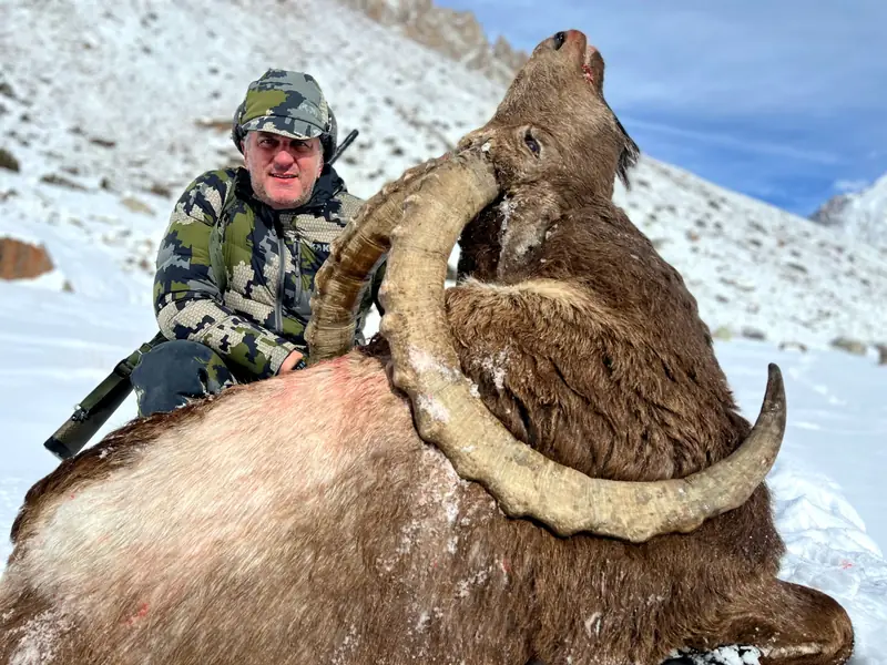 Himalayan Ibex, Gilgit, Skardu, Hunza