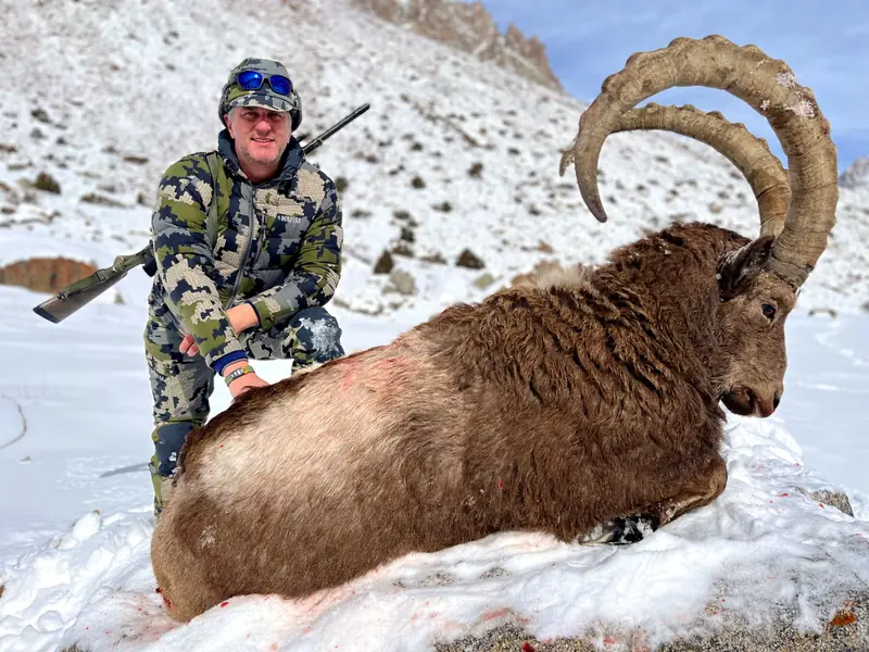 Himalayan Ibex, Gilgit, Skardu, Hunza