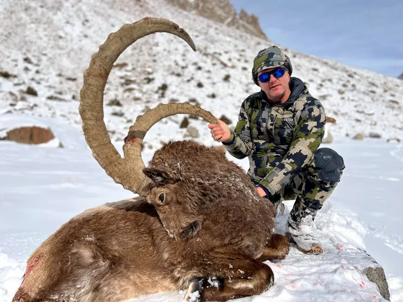 Himalayan Ibex, Gilgit, Skardu, Hunza
