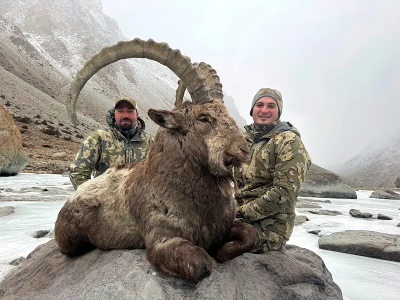 Himalayan Ibex, Gilgit, Skardu, Hunza