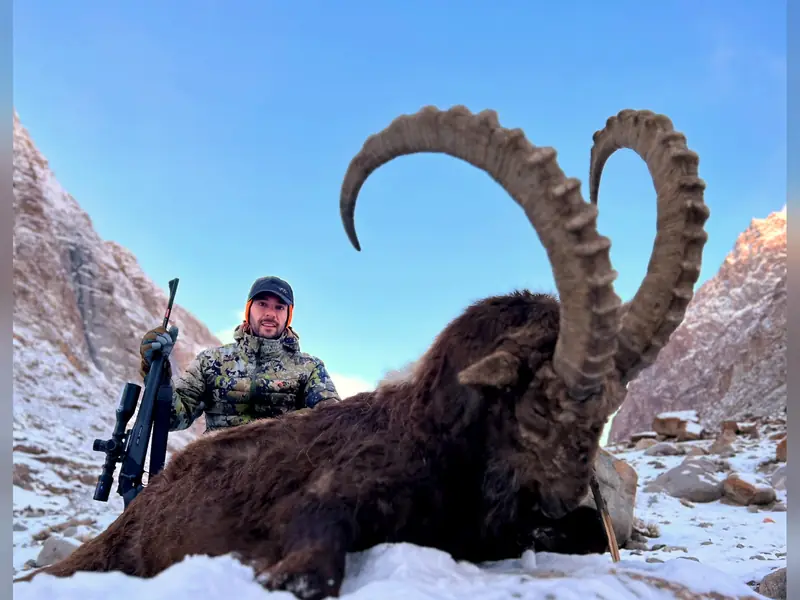 Himalayan Ibex, Gilgit, Skardu, Hunza