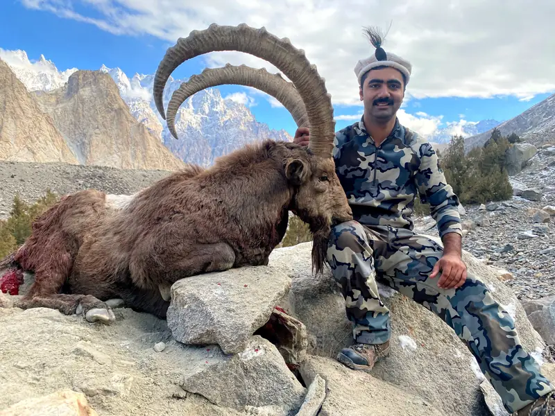 Himalayan Ibex, Gilgit, Skardu, Hunza