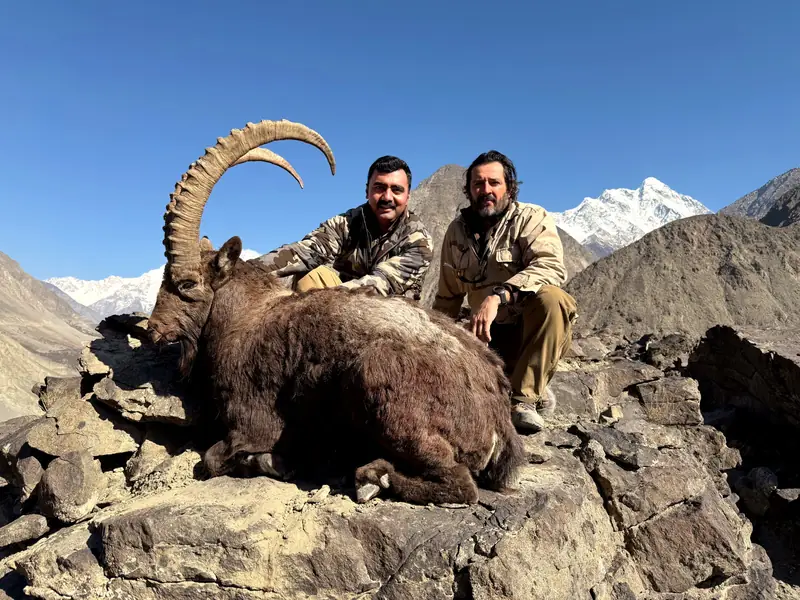 Himalayan Ibex, Gilgit, Skardu, Hunza