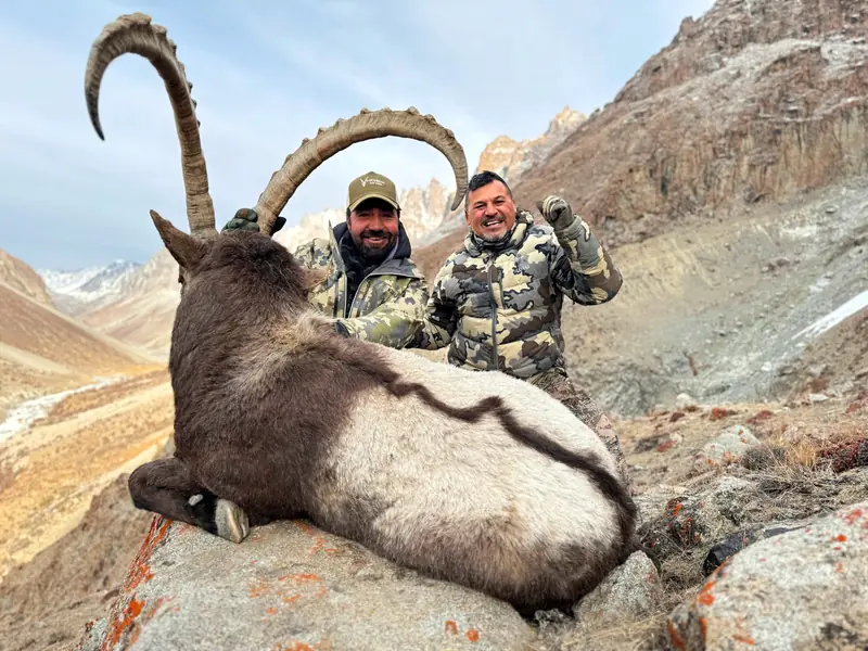 Himalayan Ibex, Gilgit, Skardu, Hunza