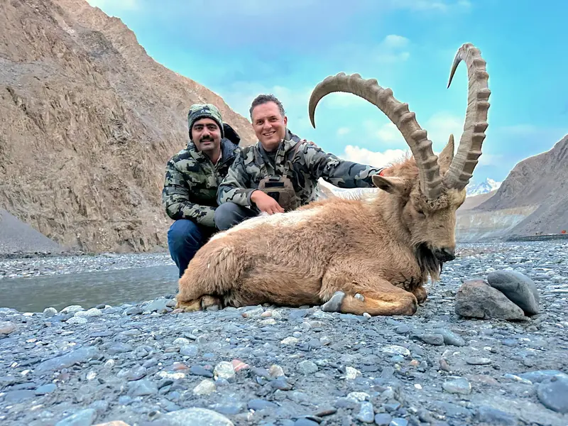 Himalayan Ibex, Gilgit, Skardu, Hunza