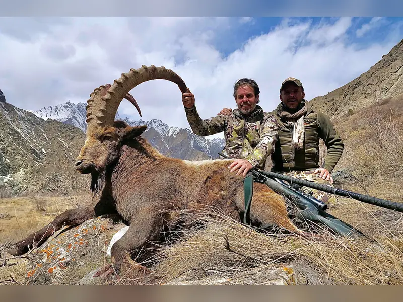 Himalayan Ibex, Gilgit, Skardu, Hunza