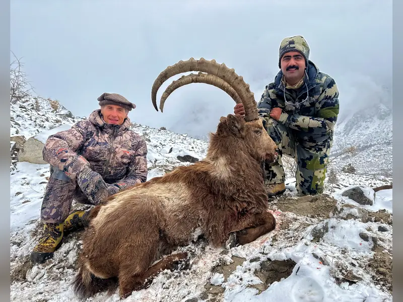 Himalayan Ibex, Gilgit, Skardu, Hunza