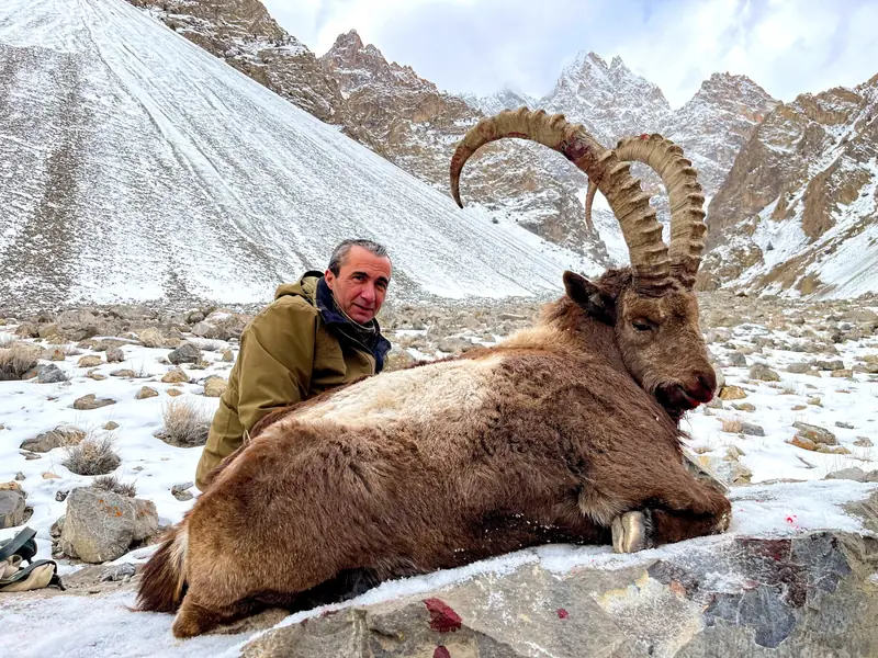 Himalayan Ibex, Gilgit, Skardu, Hunza