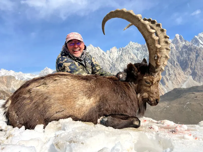Himalayan Ibex, Gilgit, Skardu, Hunza