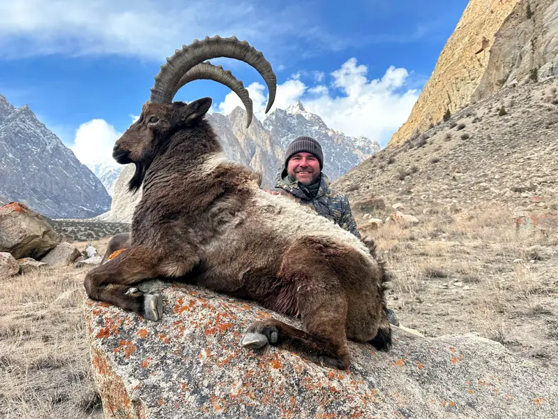 Himalayan Ibex, Gilgit, Skardu, Hunza