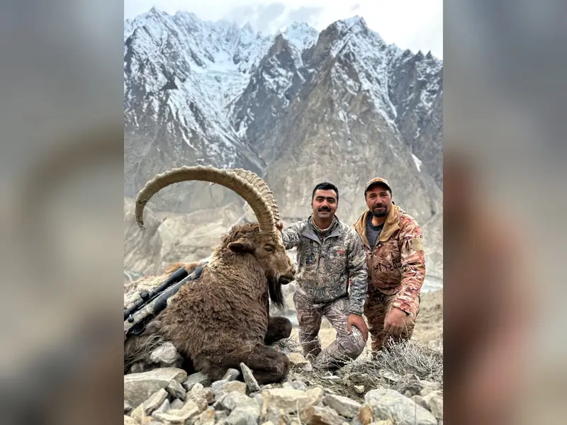 Himalayan Ibex, Gilgit, Skardu, Hunza