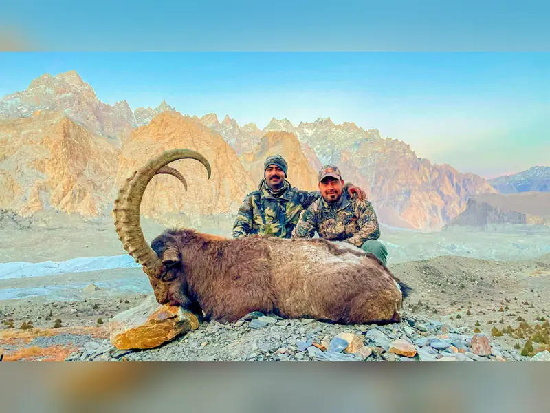 Himalayan Ibex, Gilgit, Skardu, Hunza