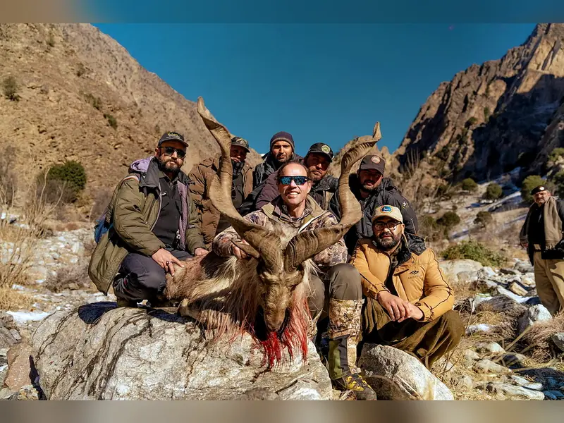 Kashmir Markhor, Chitral and Kaigah, KPK
