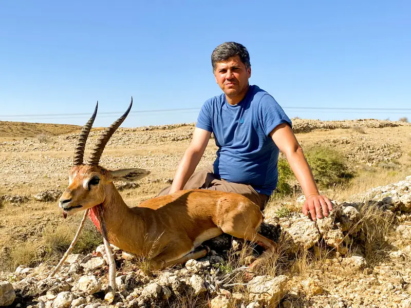 Kennion Gazelle, West of the Kirthar