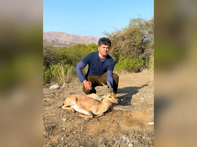 Chinkara, West of the Kirthar