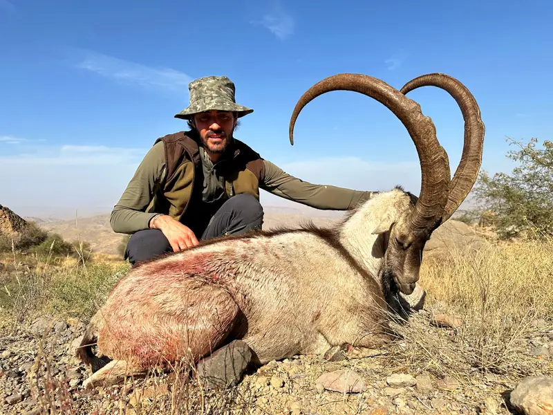 Sindh Ibex, Sindh and Balochistan