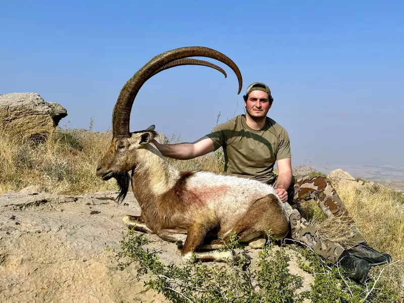 Sindh Ibex, Sindh and Balochistan