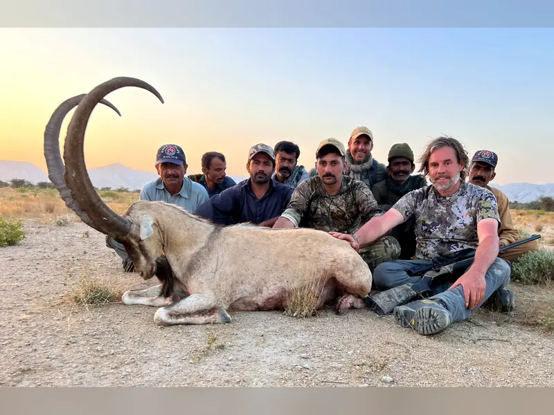 Sindh Ibex, Sindh and Balochistan