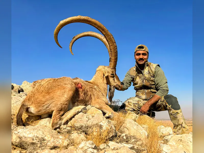 Sindh Ibex, Sindh and Balochistan