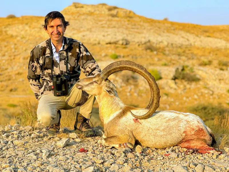 Sindh Ibex, Sindh and Balochistan