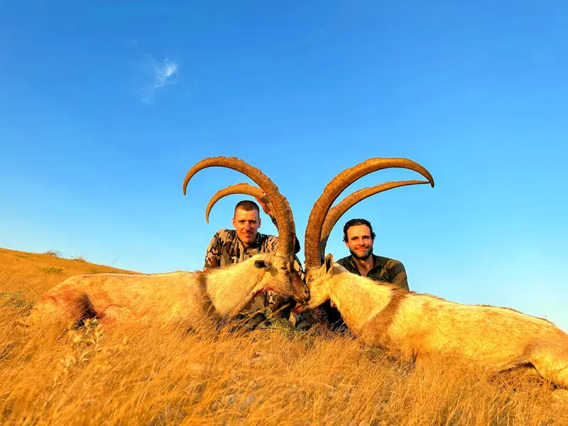Sindh Ibex, Sindh and Balochistan