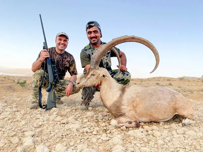 Sindh Ibex, Sindh and Balochistan