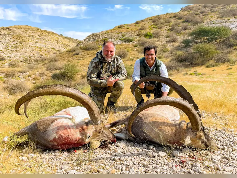 Sindh Ibex, Sindh and Balochistan
