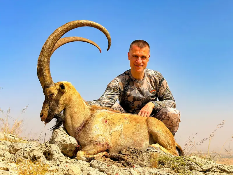 Sindh Ibex, Sindh and Balochistan
