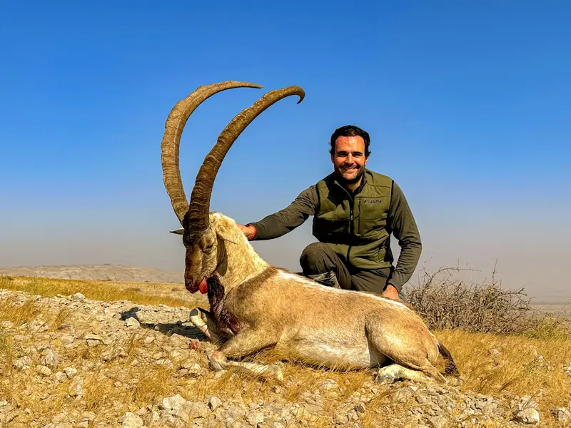 Sindh Ibex, Sindh and Balochistan