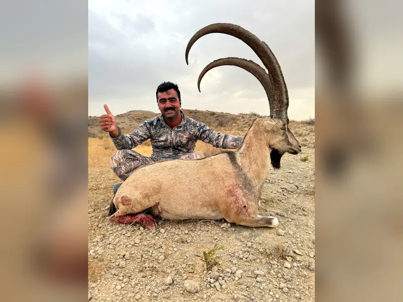 Sindh Ibex, Sindh and Balochistan