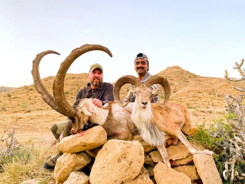 Sindh Ibex, Sindh and Balochistan