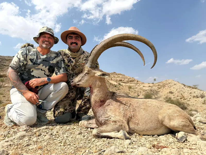 Sindh Ibex, Sindh and Balochistan