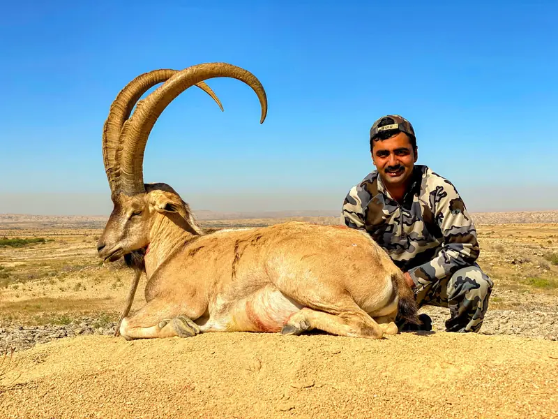 Sindh Ibex, Sindh and Balochistan