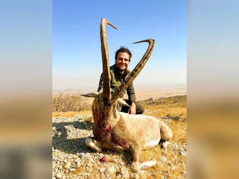Sindh Ibex, Sindh and Balochistan