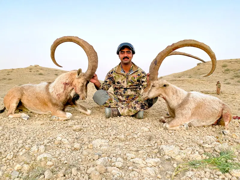 Sindh Ibex, Sindh and Balochistan