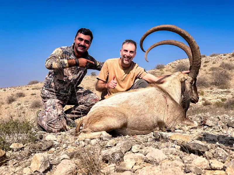 Sindh Ibex, Sindh and Balochistan