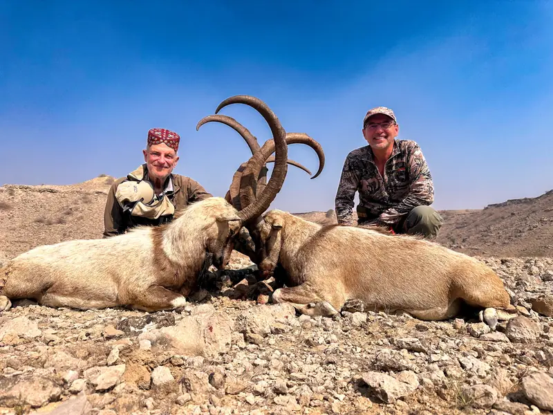 Sindh Ibex, Sindh and Balochistan