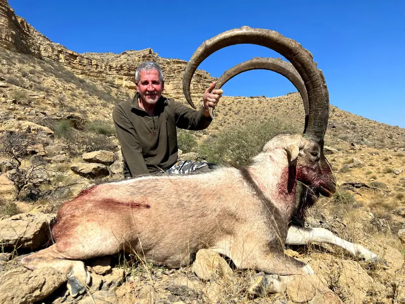 Sindh Ibex, Sindh and Balochistan